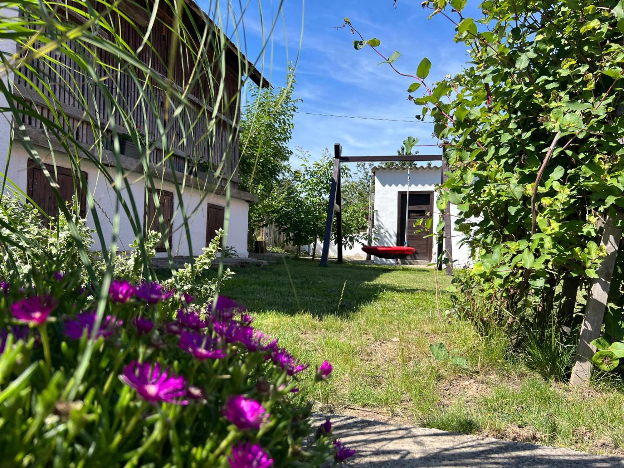Nest Apartman Balatonszarszo Bagian luar foto